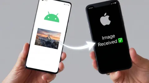 How to Share Photos Between iPhone and Android (Every Method Ranked)
